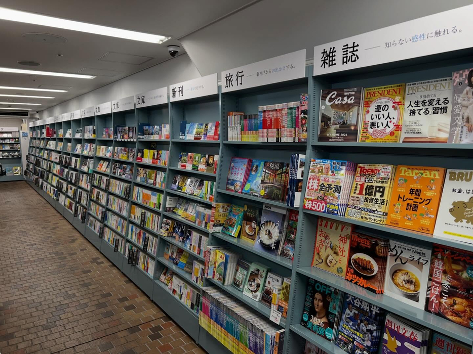 画像244