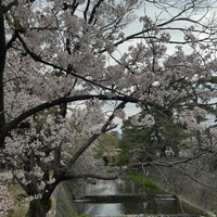画像262