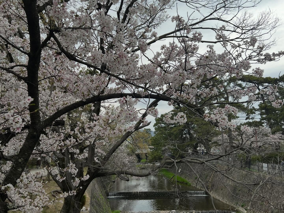 画像262